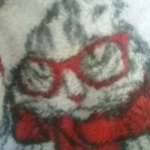 Meet your Posher, Kathy